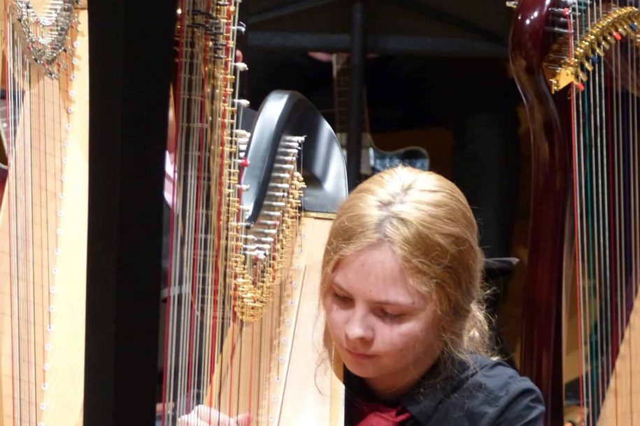 Loughborough Schools present Guitars and Harps featured image