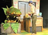 Little Shop of Horrors featured image