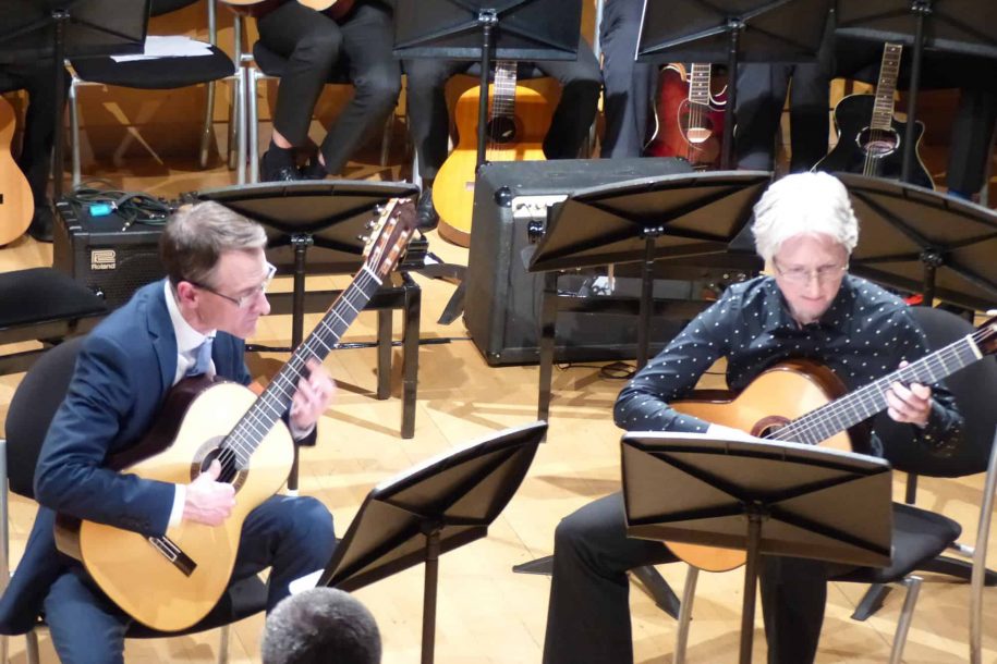 Guitars and Harps Concert 25.01.19 featured image