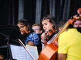 Strings and Orchestras featured image
