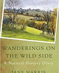 OG Jane Harris Publishes Wanderings on the Wild Side featured image