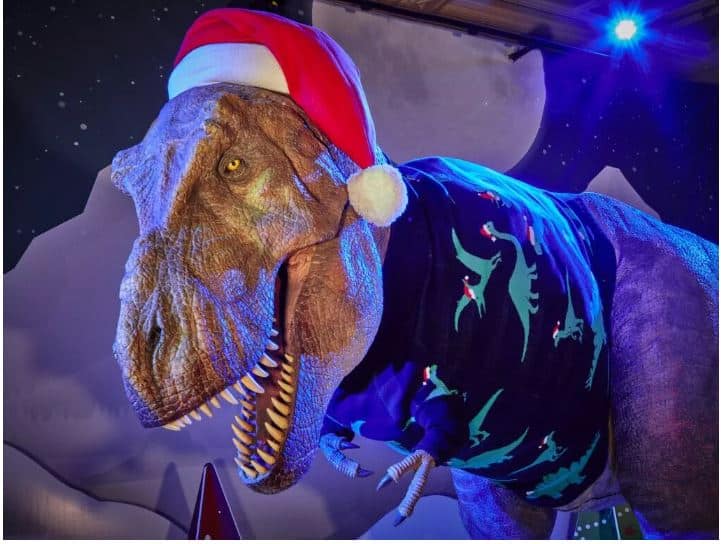 How a Alum Christmas on Dinosaur? jumper Patel Snahal put Development knows! LSF a do you -