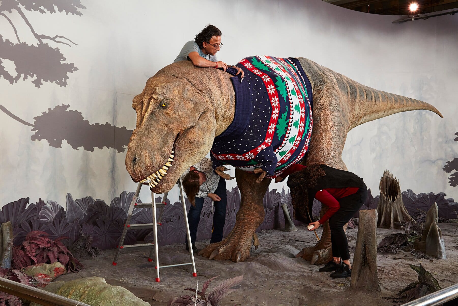 How do you put a on Dinosaur? a jumper Alum Christmas - Patel Snahal knows! Development LSF
