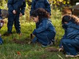 Fairfield children digging in Forest School