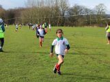 Year 5 House Cross Country featured image