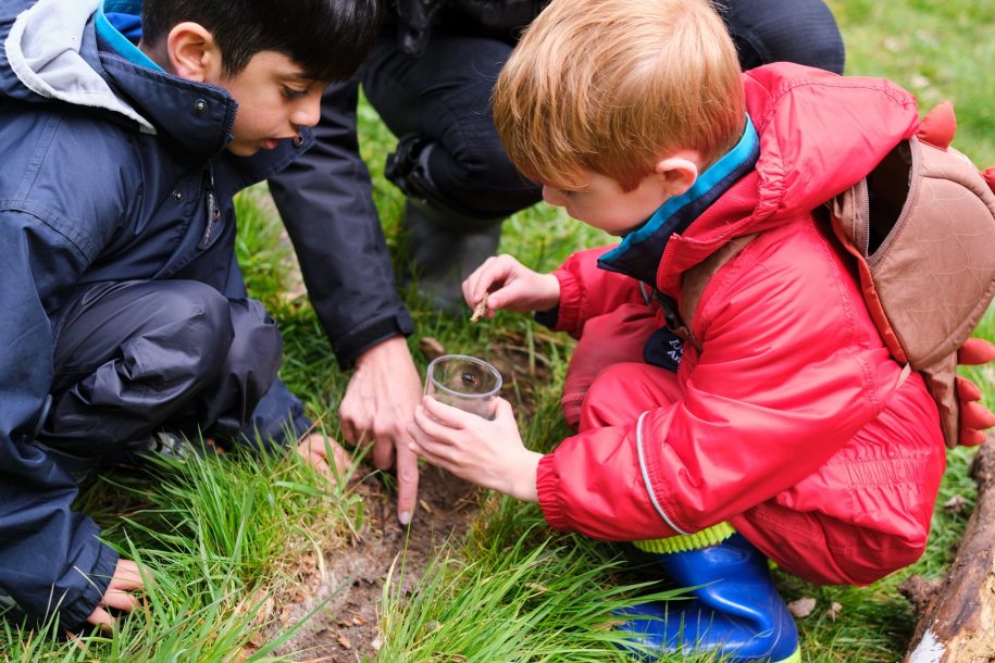Forest School featured image
