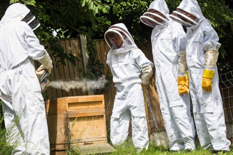 Beekeeping Club featured image