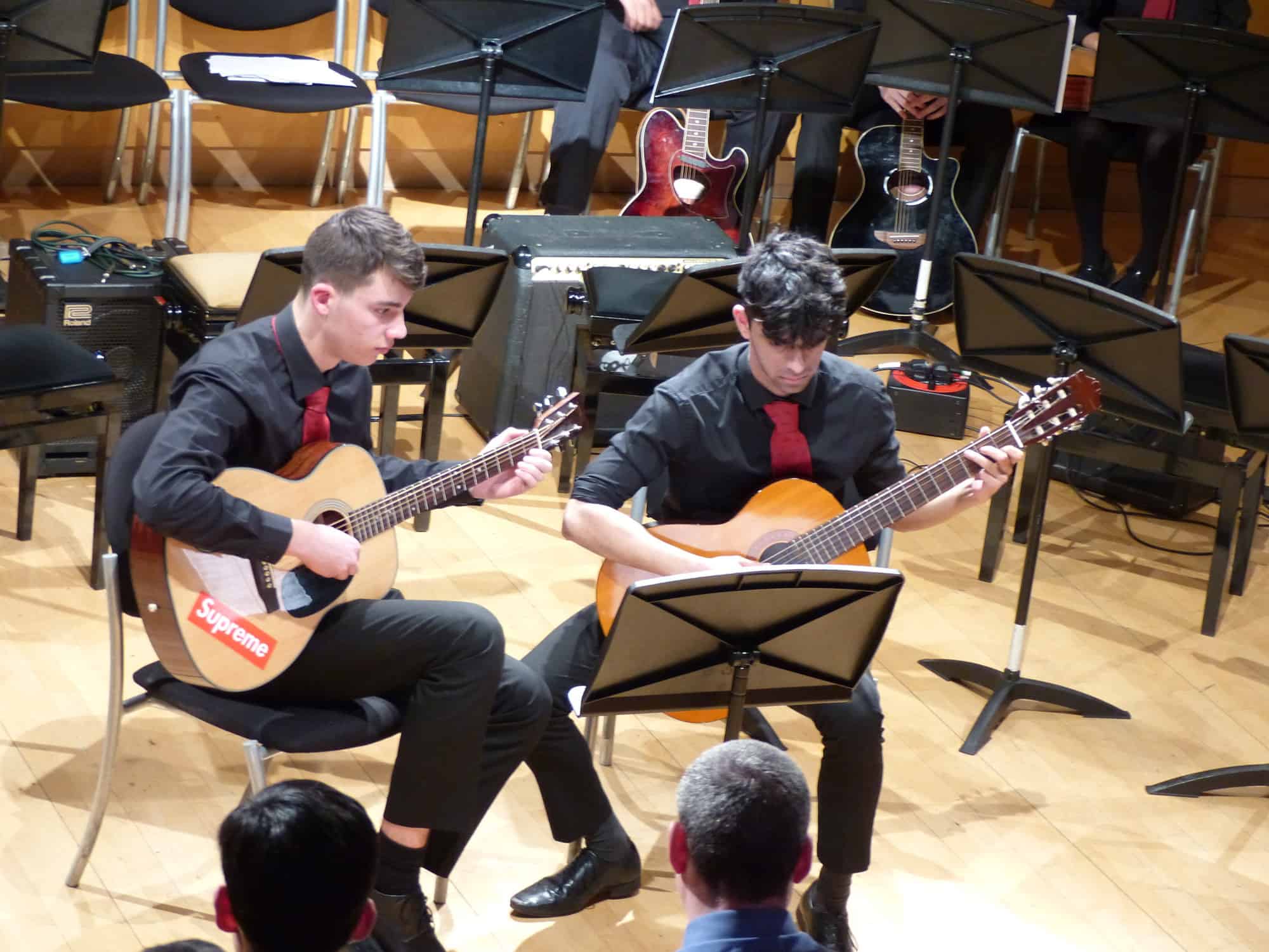 Guitars and Harps Concert 25.01.19 featured image