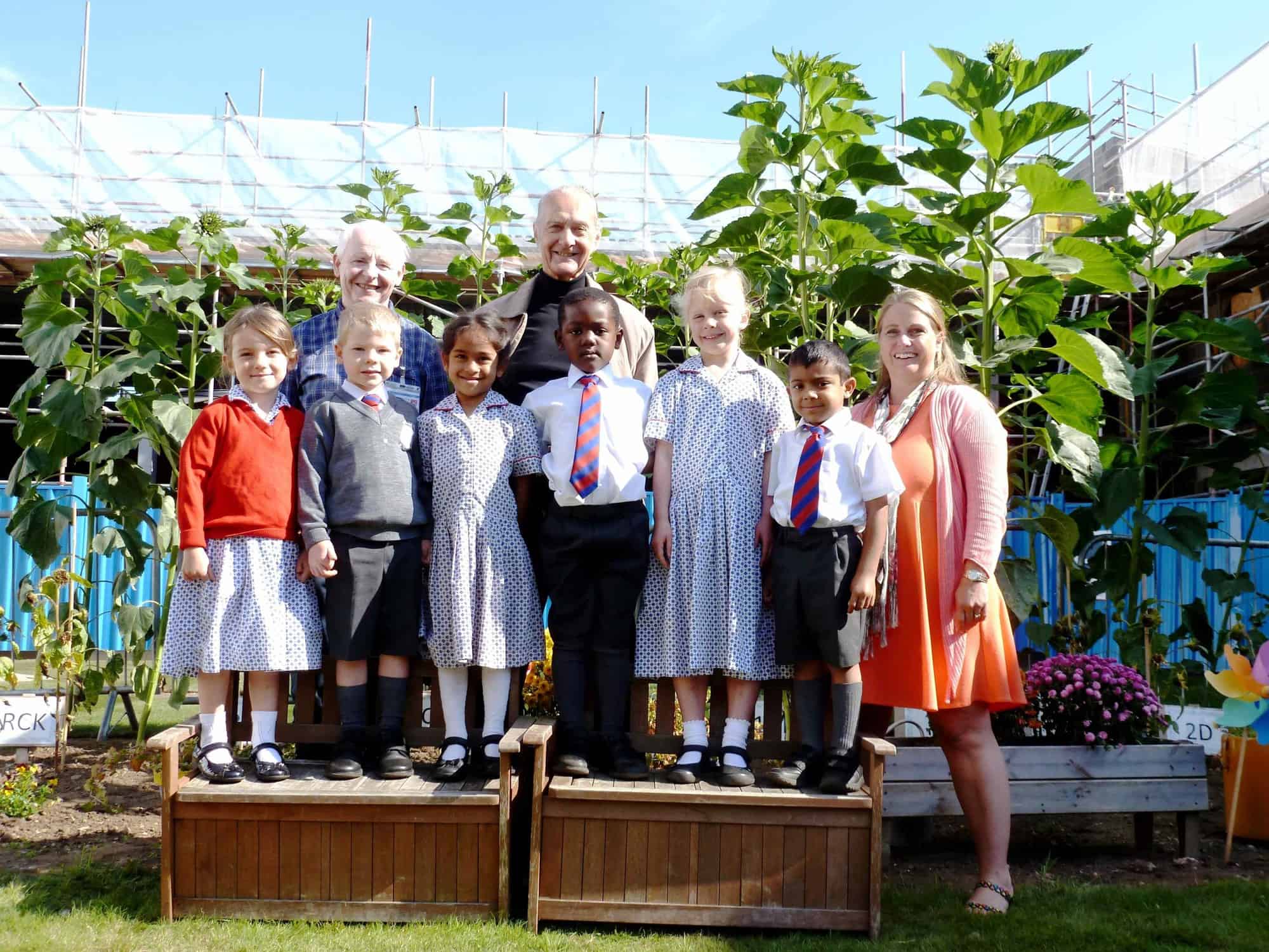 Pre-prep pupils scoop award for tallest school sunflowers featured image