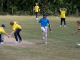 LGS Cricket featured image